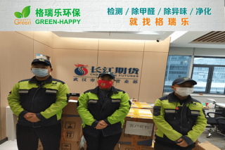 珞瑜路职场！格瑞乐三维净醛