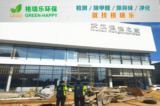 武汉恒信之宝4S店甲醛检测与治